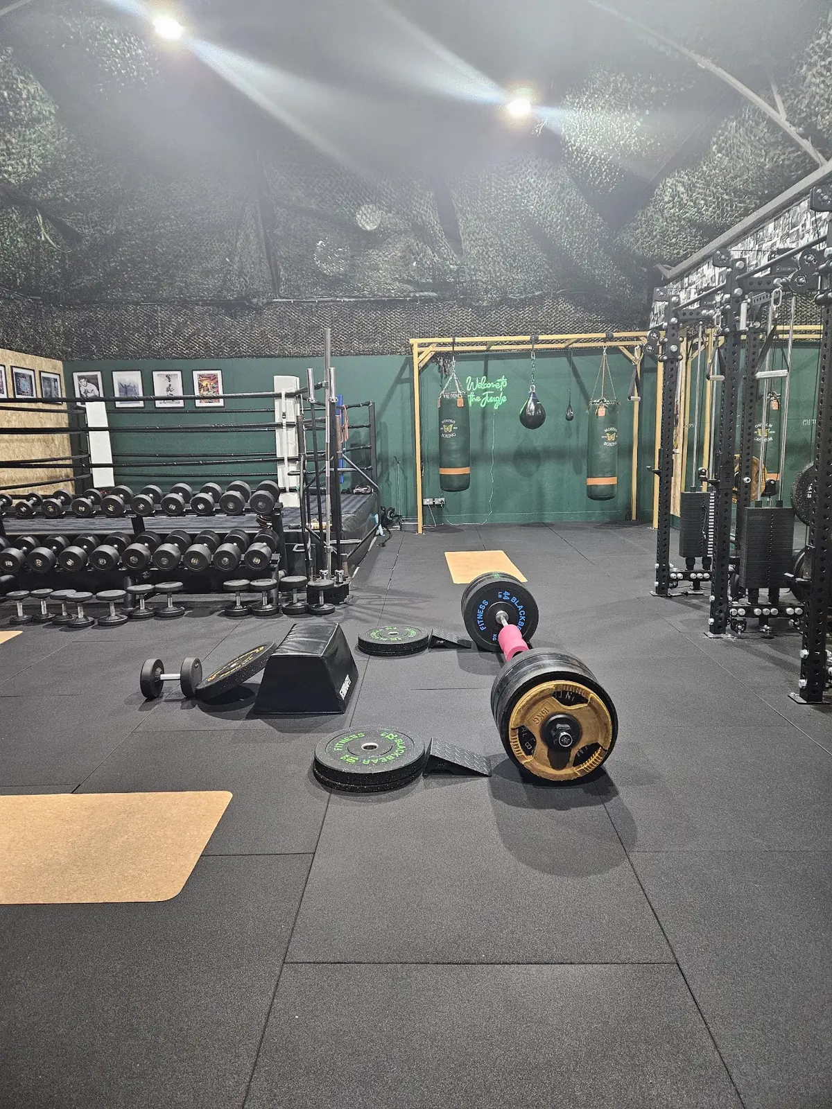 The Jungle - Fitness & Boxing Gym, Norwich